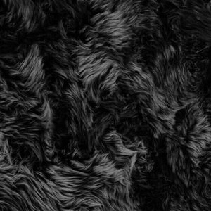 Meet your Posher, Daniela